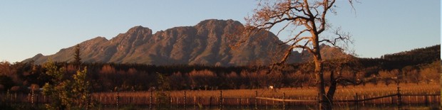 Founders Estate Franschhoek