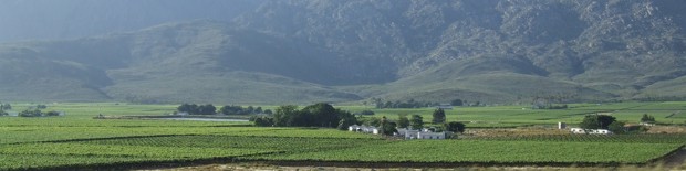 Val de Vie Estate in Paarl
